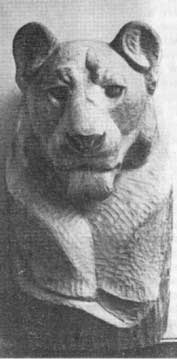 �������. ������ ������