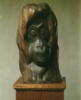 �������. ��������