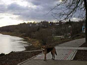 ��� ������